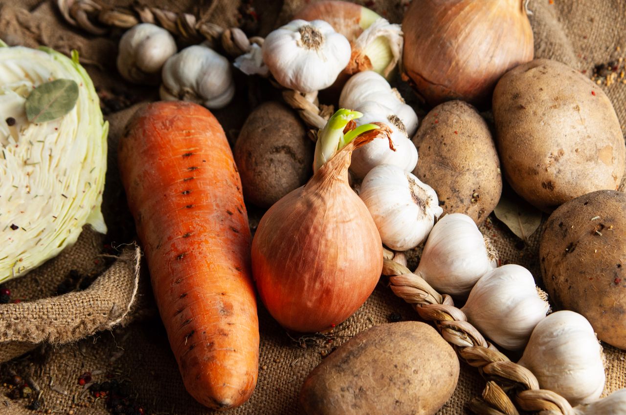 A diverse collection of fresh organic root vegetables, ideal for healthy meals.